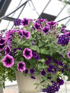 20B7A6E1-C543-42D9-BB9F-FC58120B0D14_1_105_c