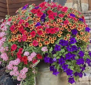 23FF8FD2-A134-437E-B42B-E7DE0204269A_1_201_a