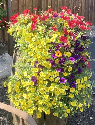 6B2A1E82-A8DC-43D6-A7CF-AC4E1F76B41F_1_201_a