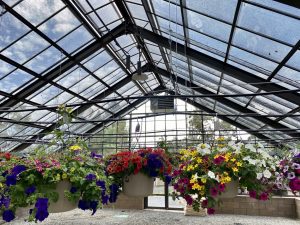 89BF291A-6884-483F-AD62-89EFDBF60C74_1_105_c