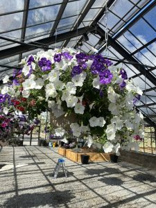 B74D390A-F562-4D83-AE64-727BA0652779_1_105_c