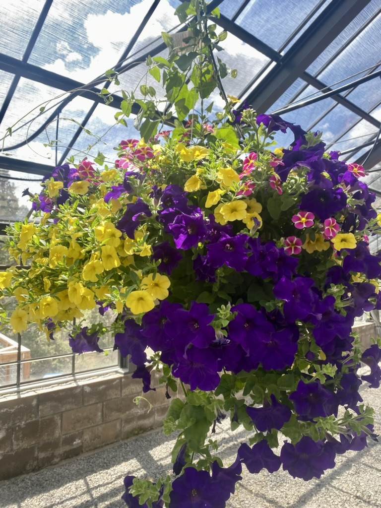 EC73BBA9-3556-4D79-B2FF-09091A796838_1_105_c